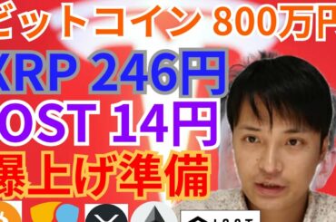 【仮想通貨BTC, ETH, XRP, XLM, IOST, NEM】ビットコイン800万円、リップル246円、IOST14円爆上げ準備