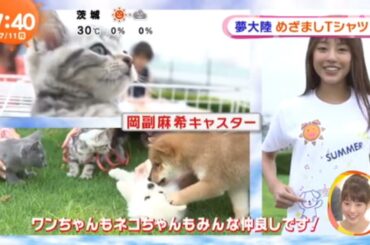 宮司愛海さん,高見侑里さん,岡副麻希さん,夢大陸めざましTシャツ2016