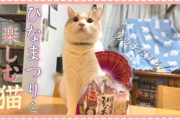 猫とひな祭りを楽しみました【猫と夫婦の日常】
