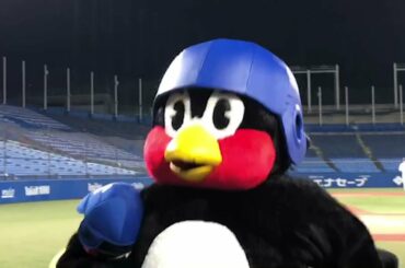 諦めを知らないつば九郎！つば九郎空中くるりんぱ  |  2021年4月27日（火）巨人戦（神宮球場）