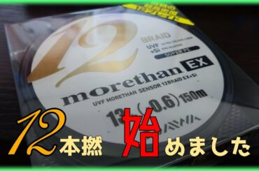 【ダイワ】撚り本数は多いほど正義【12ブレイド】
