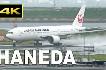[4K] After the rain - Plane Spotting at Tokyo Haneda Airport in Japan / 羽田空港 JAL ANA