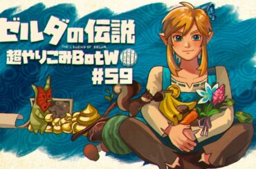 収集完了まで1年かかりました｜すべてを越えた超やりこみBotW #59