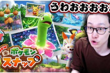 ポケモン元世界王者がポケモンスナップするとこうなる【New ポケモンスナップ ポケスナ 写真】
