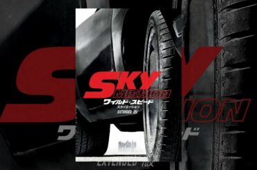 Sky Mission: ワイルド・スピード - スカイミッション EXTENDED 版 (日本語吹替版)
