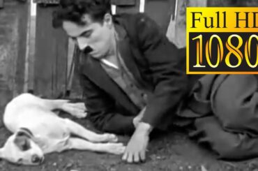 チャールズ・チャップリン~犬の生活|A Dog's Life 1918年 ‧ ファンタジー映画/自主映画