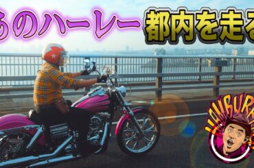 【ハーレー解禁】チュート徳井に生電話！改めて、このバイクどう？