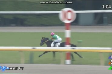 2021年5月1日　東京5R　3歳未勝利　プレミアエンブレム
