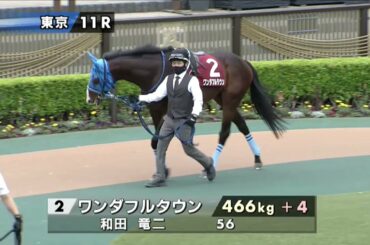 今日の勝ち馬パドック　2回東京3日　【2021/5/1】