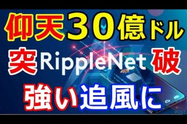 仮想通貨リップル（XRP）仰天！30億ドルを突破『なんとアレが1,000万件をも超えた』
