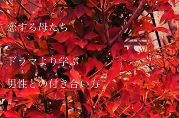 ドラマ　恋する母たち‼️から 学ぶ男性との付き合い方　カウンセラー　薬剤師が心と身体の健康、生き生きをお届けします😊