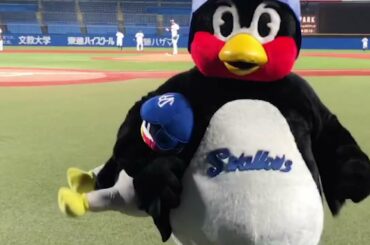 めげずに挑戦！つば九郎空中くるりんぱ  |  2021年4月28日（水）巨人戦（神宮球場）