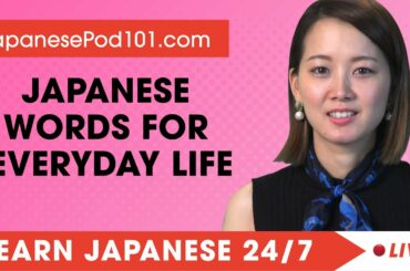 Learn Japanese Live 24/7 🔴 Japanese Words and Expressions for Everyday Life  ✔