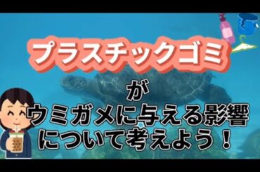 【アオウミガメ】アオウミガメとプラスチックの関係性とは！？