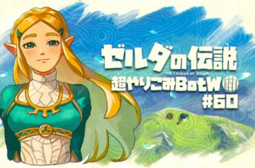 （完）何者でもない主夫が世界を救う｜すべてを越えた超やりこみBotW #60