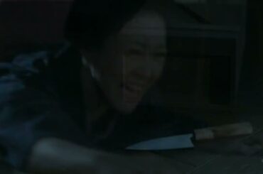 片岡愛之助・・・鬼平外伝　最終章　四度目の女房