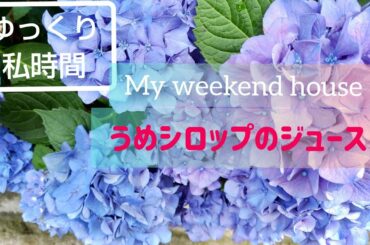 【Walnutime ゆっくり私時間】梅シロップのジュース。バスガイド日常vlog