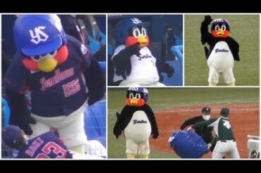 癒されるつば九郎集めてみた（2021年4月）