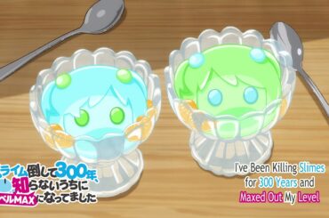 4話 スライム倒して300年、知らないうちにレベルMAXになってました