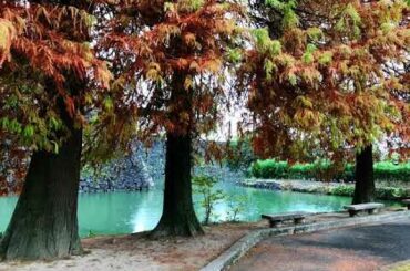 「雨ニモマケズ」 宮沢賢治 朗読