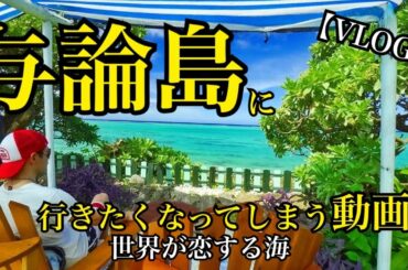 【与論島に行きたくなってしまう動画】世界が恋するヨロンブルー【VLOG】