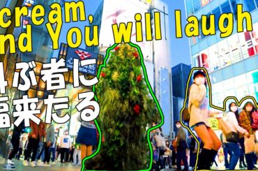 Bushman Prank 24: Japanese Reactions at Ebisu Bridge and Dotonbori, Osaka. ブッシュマン・ドッキリ24：戎橋、道頓堀 @大阪