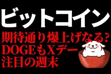 【仮想通貨 ビットコイン,DOGE,ATOM,IOST,10SET】ビットコイン期待通り爆上げなる？DOGEもXデー！注目の週末