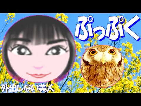 ぷっぷく 初黒星 綾瀬はるか 広瀬すず 佐々木希 北川景子 石原さとみ 新垣結衣 橋本環奈 深田恭子 白石麻衣 沢尻エリカ 芸能人 似顔絵 イラスト 絵の描き方講座 アニメーション 自主制作 Tkhunt ぷっぷく 初黒星 綾瀬はるか 広瀬すず 佐々木希 北川景子 石原さとみ 新垣結衣 橋本環奈 深田恭子 白石麻衣 沢尻エリカ 芸能人 似顔絵 イラスト 絵の描き方講座 アニメーション 自主制作 Tkhunt