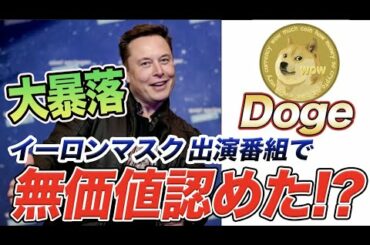 仮想通貨ドージコイン（Doge Coin）が大暴落！その理由と今後の展望