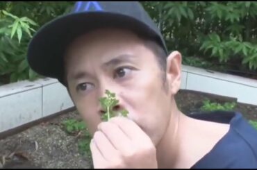 【ナイティナイン】🆕✅ 岡村隆史が加藤浩次の留守中に自宅に侵入