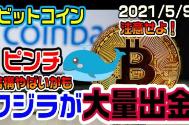 ビットコインがピンチ！クジラが大量出金ってことは価格下落の予兆か　いやそうじゃない
