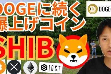 【仮想通貨BTC, ETH, XRP, IOST, SHIB, FTT】ドージコイン(DOGE)に続く爆上げコインは、SHIBA INU(SHIB)⁉️