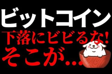 【仮想通貨 ビットコイン,BNB,ADA,LTC.LINK】ビットコイン下落にビビるなそこが絶好の狙い目かもしれません！