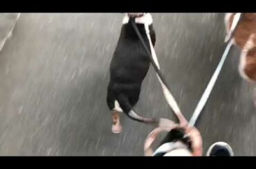 こてつくん&くっぱくん