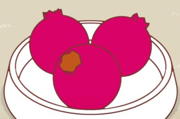 いたずらぐまのグル～ミ～　第５話「はじめましてのひ」