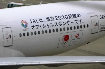 東京国際空港 (Haneda Airport) A 滑走路 34L 着陸 航空機群  2013.7