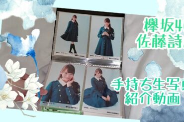 【46G】欅坂46 佐藤詩織 手持ち生写真紹介動画