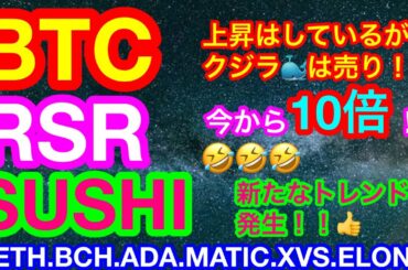 💥ビットコイン❗️クジラ🐳の売りには要注意‼️💥 【仮想通貨 BTC.ETH.BCH.ADA.MATIC.RSR.SUSHI.XVS.ELON】新通貨分析👍😊『RSR』と『ELON』🐕🐕