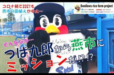 東京ヤクルトスワローズライスファームプロジェクト2021-田植え編-