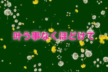 散りてなお　松任谷由実　唄おくんちゃん