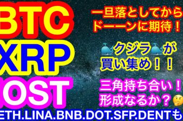 🐳リップルをクジラ🐳が買い集め‼️【仮想通貨 BTC.ETH.LINA.BNB.IOST.DOT.SFP.DENT.XRP】ビットコインは日中に動く❓アルトコインは全面安‼️つまりチャンス👍😊