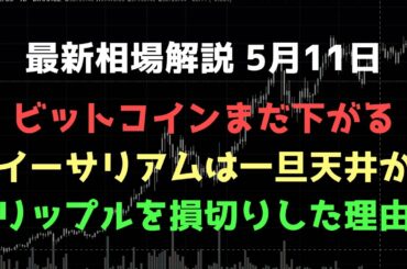リップルを半分売りました｜ビットコインまだ下がる｜ビットコイン、イーサリアム、リップルの値動きを解説