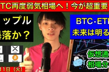 【ビットコイン再度弱気相場へ！今が超重要！】　リップル暴落か？　BTC・ETH未来は明るい！　BTC/XRP/ETH/LTC　5月11日（日）～　今日の仮想通貨相場分析