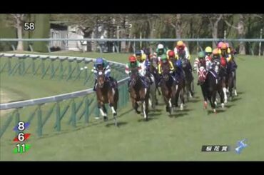 阪神11R桜花賞(GⅠ)2021レース結果