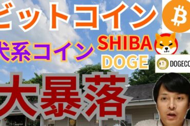 【仮想通貨BTC, ETH, XRP, IOST, DOGE, SHIB】ビットコイン&犬系コイン大暴落の理由と今後
