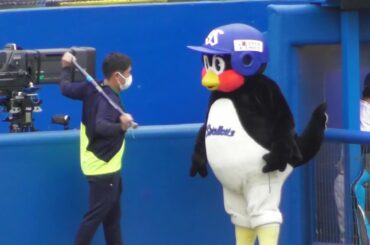 【※一部音声なし】つば九郎ストレッチ棒の使い方を習う 2021.05.12 プロ野球ヤクルトスワローズvs広島カープ