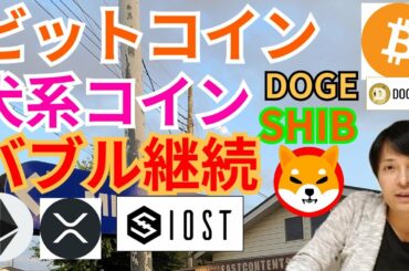 【仮想通貨BTC, ETH, XRP, IOST, DOGE, SHIB】ビットコイン&犬系のバブル継続の理由