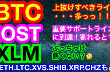 😭犬系コインブーム終了❓一極集中は怖い‼️😭【仮想通貨 BTC.ETH.IOST.LTC.XLM.XVS.SHIB.XRP.CHZ】ビットコインは今夜が一つの山場❗️❓アメリカ時間にどう動く🤔