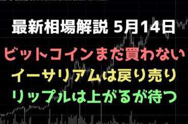 ビットコイン、リップルは上がるが買わない｜ビットコイン、イーサリアム、リップルの値動きを解説