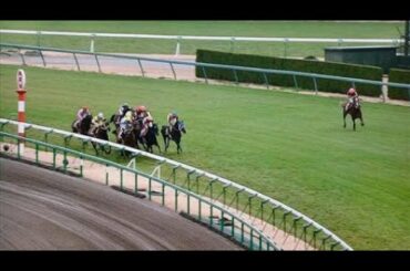【競馬】何度も観たくなるヤバいレース【逸走】